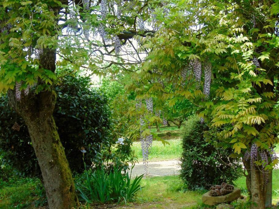 Mirathe Villa Baleyssagues Bagian luar foto